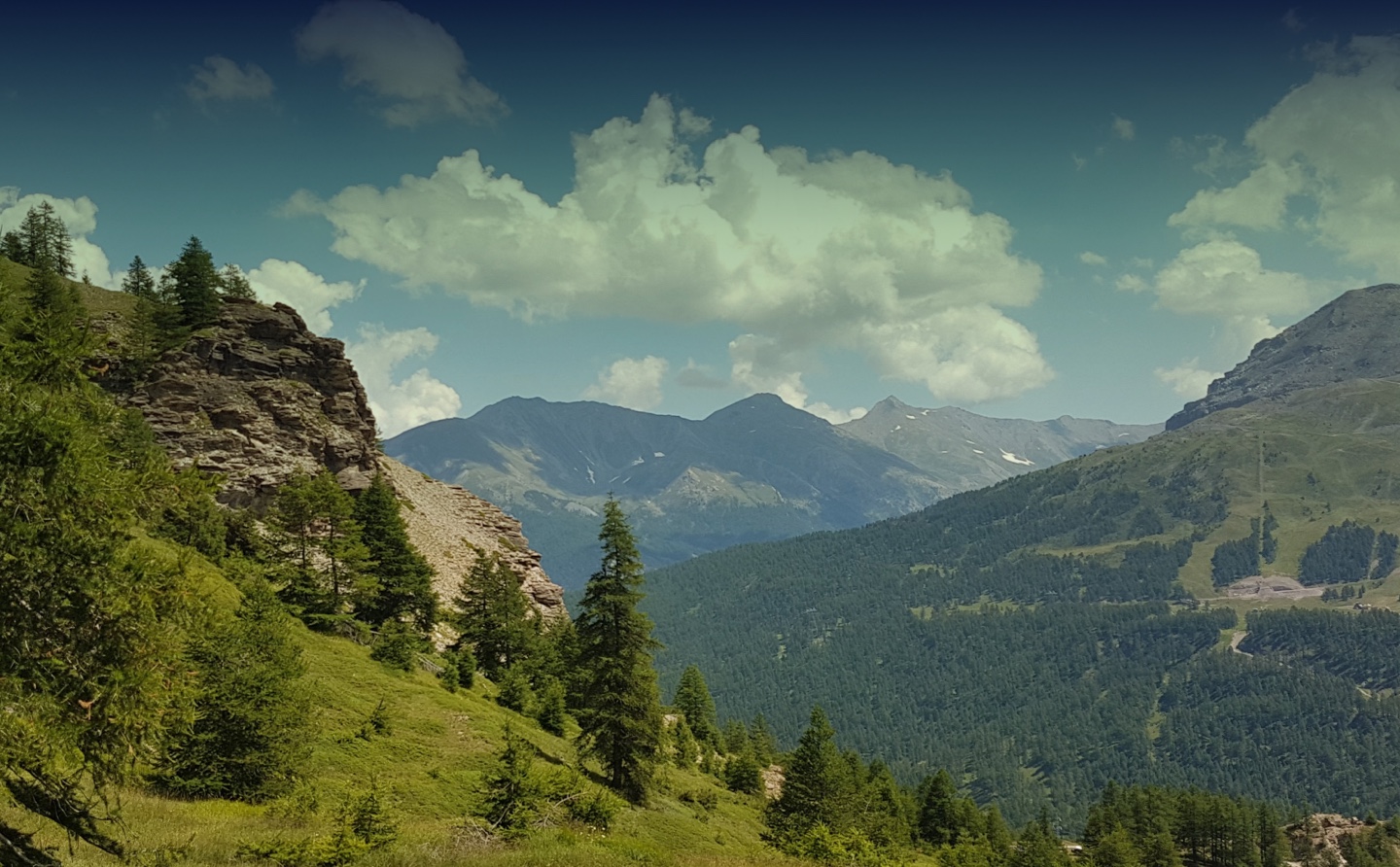 marita-kavelashvili-ugnrXk1129g-unsplash